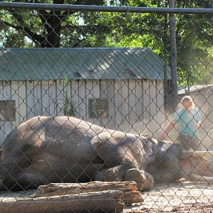 Luke Performing 3 November 2010