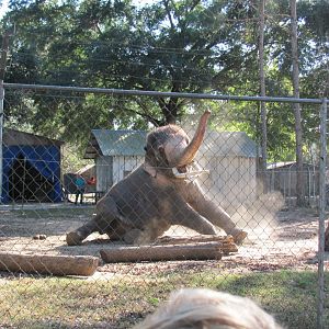 Luke Performing 4 November 2010