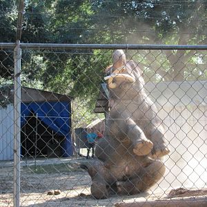 Luke Performing 5 November 2010