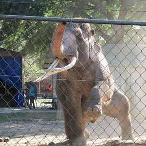 Luke Performing 6 November 2010