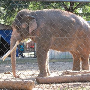 Luke Side View November 2010