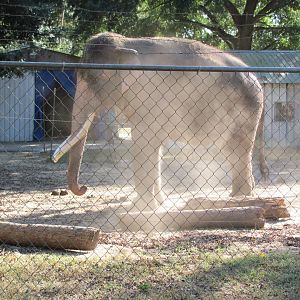 Luke Behind Dust November 2010