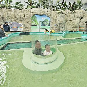 May. 2017 - New! Stingray Hideaway Panorama (8 Species)