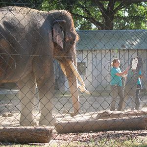 Luke Getting Ready To Paint November 2010