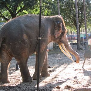 Luke Painting 1 November 2010