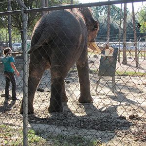 Luke Painting 3 November 2010