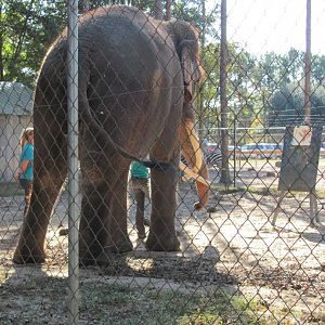 Luke Painting 4 November 2010