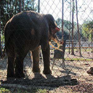 Luke Painting 5 November 2010
