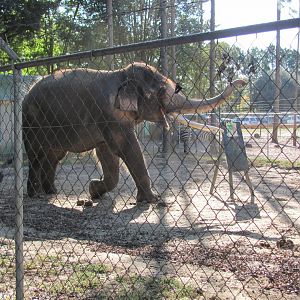 Luke Painting 6 November 2010