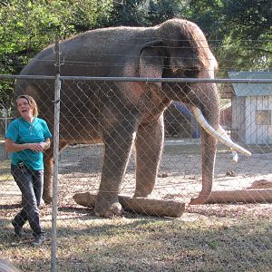 Luke Log Demonstration November 2010