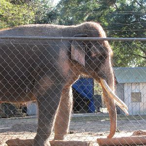 Luke Closeup Side View November 2010