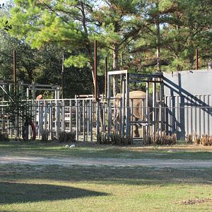 Prince In Holding Pen November 2010
