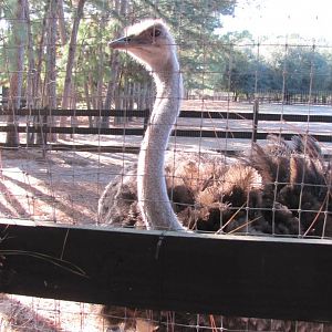 Katherine 1 November 2010