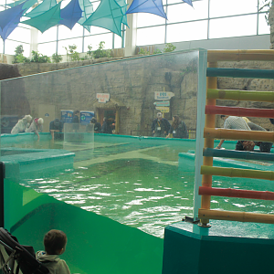 May. 2017 - Stingray Hideaway (New 2017)