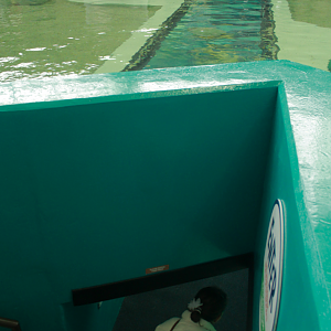 May. 2017 - Stingray Hideaway (New 2017) - Entrance to the Tunnel