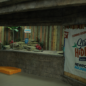 May. 2017 - Stingray Hideaway (New 2017) - Future Iguana Exhibit