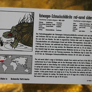 Sign Red-eared slider