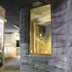 View in the "Dschungel"