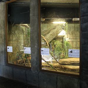 Monitor - Caiman - Turtle enclosure