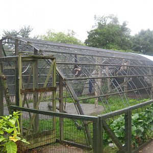 Glad Zoo - Gibbon exhibit