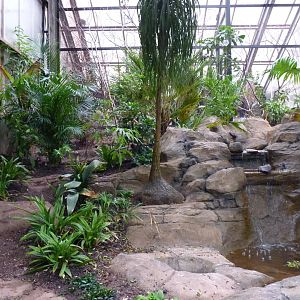 Between Tropics and Desert, May 2017