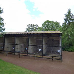 Off-Show Aviaries
