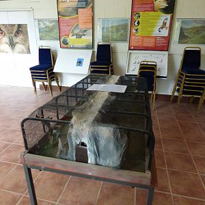 Model of future Condor Aviaries