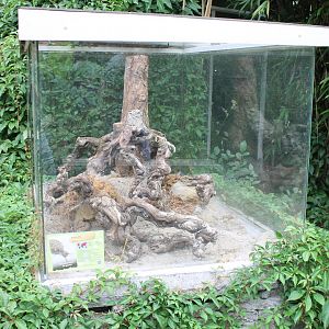Enclosure Antlion