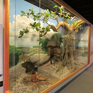 Entrance Diorama