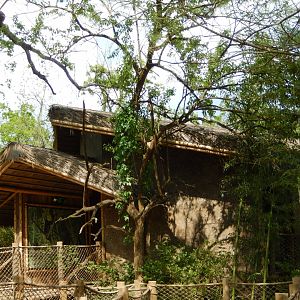 4/29/2017 - Treetop Passage Viewing Shelter