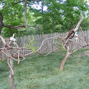 4/29/2017 - Triton Cockatoo Perches