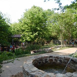 4/29/2017 - Kangaroo Kickabout