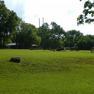 4/29/2017 - African Plains Habitat (Left Half)