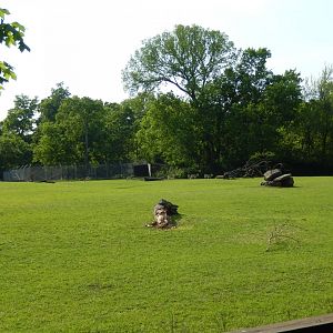 4/29/2017 - African Plains Habitat (Right Half)