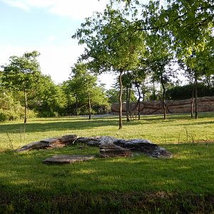 4/29/2017 - Masai Giraffe Habitat