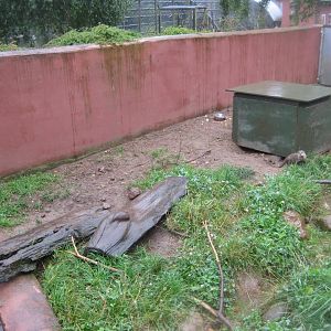 Glad Zoo - Otter exhibit