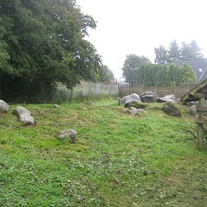 Glad Zoo - Wallaby exhibit