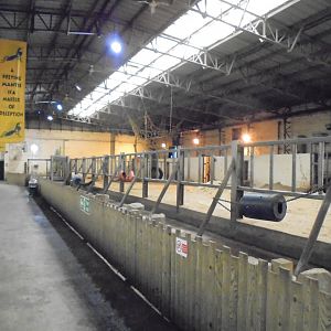 Interior of old Elephant House.