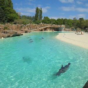 Sea Lion Pool.