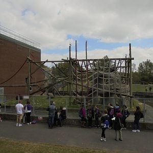 Outside Orangutan area