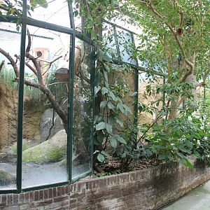 Row of Toco toucan-aviaries