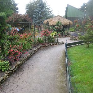 Glad Zoo - Founder's garden