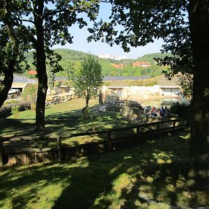 Bongo and Hippo Exhibits