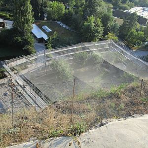 Ibis Aviary - undergoing maintainance