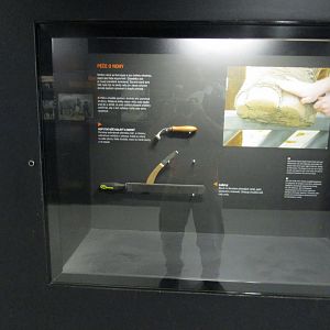 Elephant Care Display