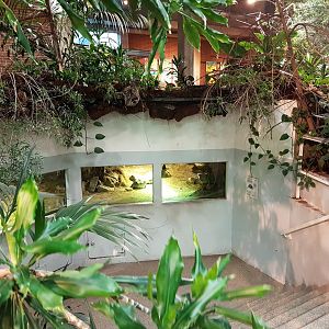 Radiated tortoise-enclosure - formaly Manatee-enclosure