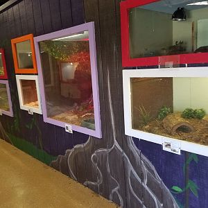 Reptile House- Wild Animal Safari Park