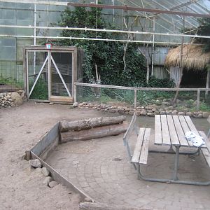 Glad Zoo - Tropical house - Free-flight hall