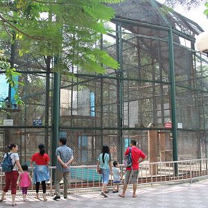 aviaries
