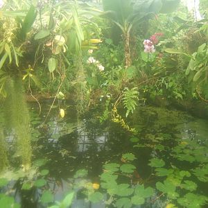 Butterfly World Stockton 27/4/2017